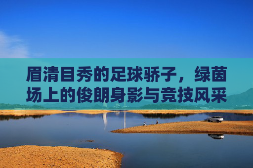 眉清目秀的足球骄子,绿茵场上的俊朗身影与竞技风采