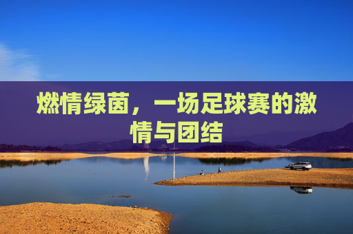 燃情绿茵,一场足球赛的激情与团结