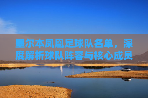 墨尔本凤凰足球队名单,深度解析球队阵容与核心成员