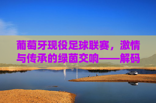 葡萄牙现役足球联赛，激情与传承的绿茵交响——解码欧洲足坛的百年荣耀与当代活力