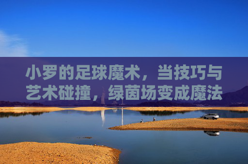 小罗的足球魔术,当技巧与艺术碰撞,绿茵场变成魔法舞台