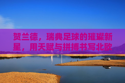 贺兰德,瑞典足球的璀璨新星,用天赋与拼搏书写北欧荣耀,贺兰德,瑞典足球的璀璨新星,用天赋与拼搏书写北欧荣耀