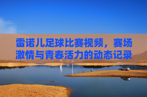 雷诺儿足球比赛视频,赛场激情与青春活力的动态记录