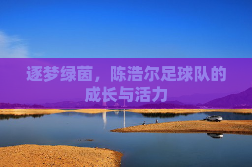 逐梦绿茵,陈浩尔足球队的成长与活力