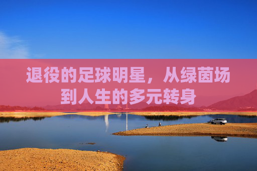 退役的足球明星,从绿茵场到人生的多元转身