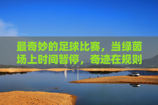 最奇妙的足球比赛,当绿茵场上时间暂停,奇迹在规则与意外中绽放,时间暂停下的足球奇迹,规则与意外中的绿茵奇遇