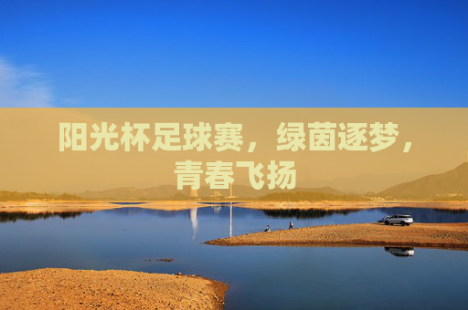 阳光杯足球赛，绿茵逐梦，青春飞扬