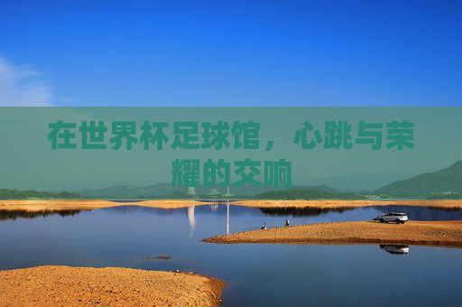 在世界杯足球馆，心跳与荣耀的交响