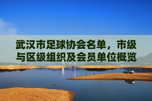 武汉市足球协会名单,市级与区级组织及会员单位概览,武汉市足球协会名单,市级与区级组织及会员单位概览