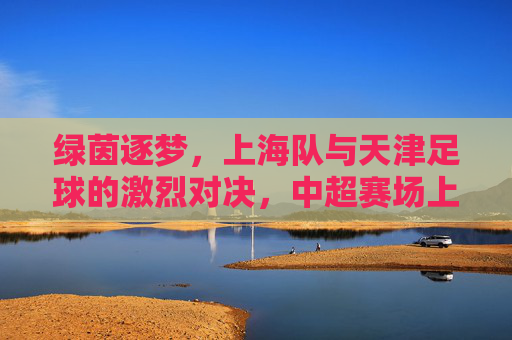 绿茵逐梦,上海队与天津足球的激烈对决,中超赛场上的竞技与传承