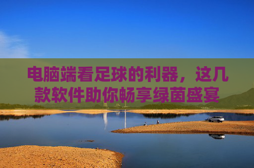 电脑端看足球的利器,这几款软件助你畅享绿茵盛宴