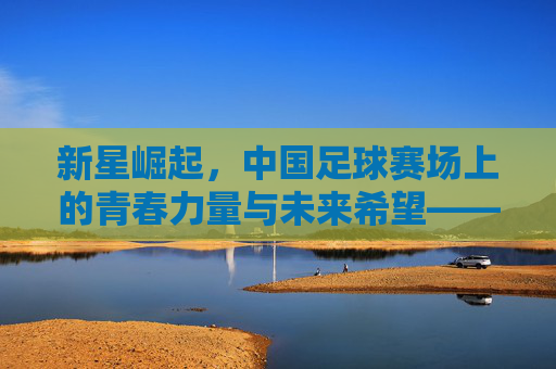 新星崛起，中国足球赛场上的青春力量与未来希望——聚焦最新崛起的中国足球明星，新星崛起，中国足球赛场上的青春力量与未来希望——聚焦最新崛起的中国足球明星