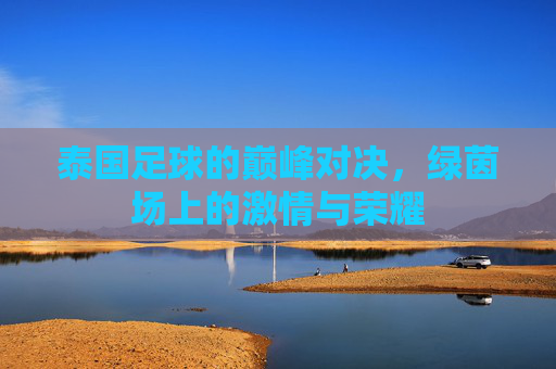 泰国足球的巅峰对决,绿茵场上的激情与荣耀