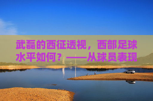 武磊的西征透视,西部足球水平如何?——从球员表现与区域发展看区域足球生态