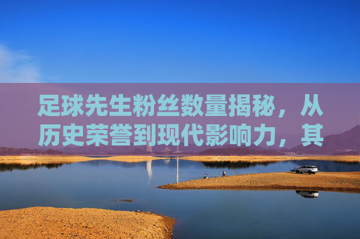 足球先生粉丝数量揭秘,从历史荣誉到现代影响力,其粉丝群体规模究竟如何?