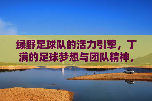 绿野足球队的活力引擎,丁满的足球梦想与团队精神,绿野足球队活力引擎,丁满的足球梦想与团队精神