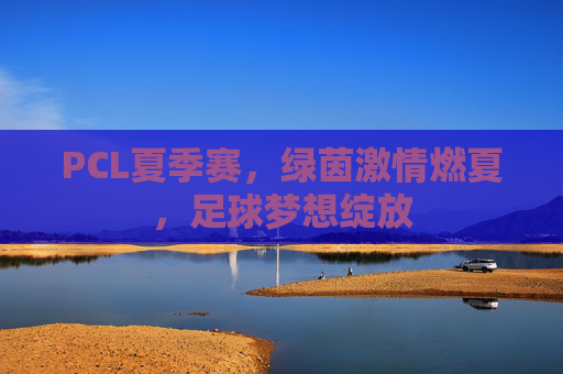 PCL夏季赛,绿茵激情燃夏,足球梦想绽放