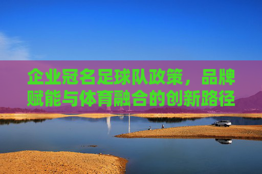 企业冠名足球队政策，品牌赋能与体育融合的创新路径——解析企业参与足球运动的战略选择与政策框架，企业冠名足球队政策，品牌赋能与体育融合的创新路径——解析企业参与足球运动的战略选择与政策框架