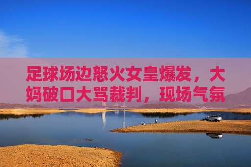 足球场边怒火女皇爆发,大妈破口大骂裁判,现场气氛剑拔弩张