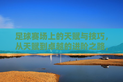 足球赛场上的天赋与技巧,从天赋到卓越的进阶之路,足球赛场,天赋与技巧的进阶之路