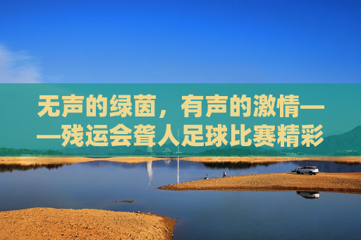 无声的绿茵,有声的激情——残运会聋人足球比赛精彩回顾,无声的绿茵,有声的激情——残运会聋人足球比赛精彩回顾