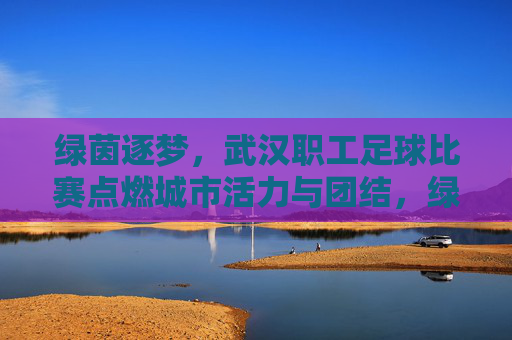 绿茵逐梦，武汉职工足球比赛点燃城市活力与团结，绿茵逐梦，武汉职工足球比赛点燃城市活力与团结