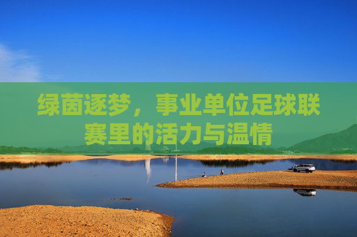 绿茵逐梦,事业单位足球联赛里的活力与温情
