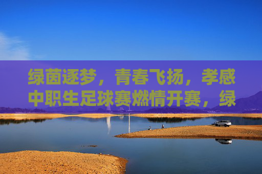 绿茵逐梦，青春飞扬，孝感中职生足球赛燃情开赛，绿茵逐梦，青春飞扬，孝感中职生足球赛燃情开赛
