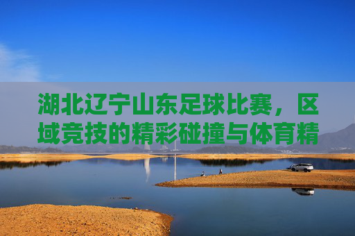 湖北辽宁山东足球比赛，区域竞技的精彩碰撞与体育精神传承，湖北辽宁山东足球比赛，区域竞技的精彩碰撞与体育精神传承
