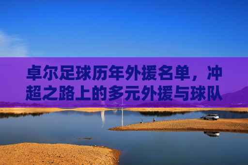 卓尔足球历年外援名单,冲超之路上的多元外援与球队发展的共生关系,卓尔足球历年外援名单,冲超之路的多元外援与球队发展的共生关系