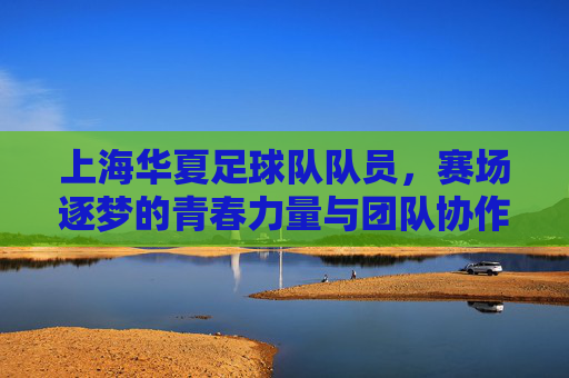 上海华夏足球队队员,赛场逐梦的青春力量与团队协作的典范,上海华夏足球队队员,赛场逐梦的青春力量与团队协作典范