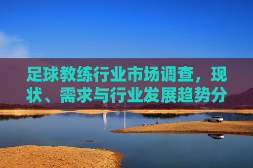 足球教练行业市场调查，现状、需求与行业发展趋势分析，足球教练行业市场调查，现状、需求与行业发展趋势分析