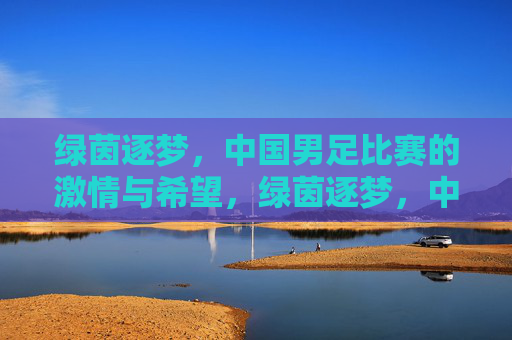 绿茵逐梦，中国男足比赛的激情与希望，绿茵逐梦，中国男足比赛的激情与希望