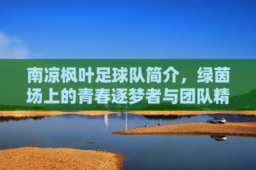 南凉枫叶足球队简介,绿茵场上的青春逐梦者与团队精神
