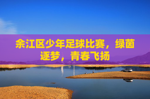 余江区少年足球比赛,绿茵逐梦,青春飞扬