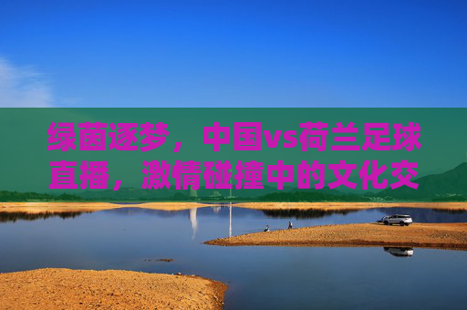绿茵逐梦，中国vs荷兰足球直播，激情碰撞中的文化交融与竞技魅力，绿茵逐梦，中国vs荷兰足球直播，激情碰撞中的文化交融与竞技魅力