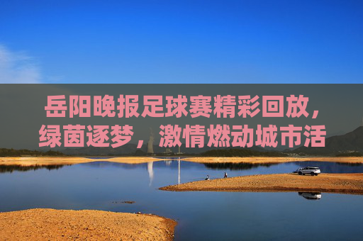 岳阳晚报足球赛精彩回放,绿茵逐梦,激情燃动城市活力
