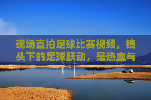 现场直拍足球比赛视频,镜头下的足球跃动,是热血与心跳的永恒记录,现场直拍足球比赛,镜头下的足球跃动,热血与心跳的永恒记录
