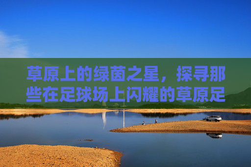草原上的绿茵之星,探寻那些在足球场上闪耀的草原足球明星,草原上的绿茵之星,探寻在足球场上闪耀的草原足球明星