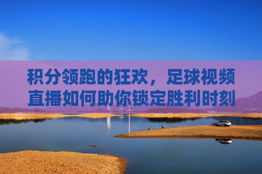 积分领跑的狂欢,足球视频直播如何助你锁定胜利时刻