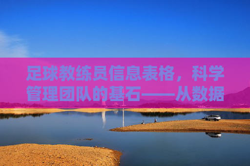 足球教练员信息表格,科学管理团队的基石——从数据驱动到精准决策