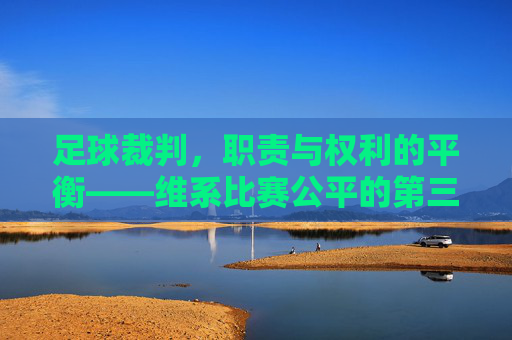 足球裁判,职责与权利的平衡——维系比赛公平的第三方
