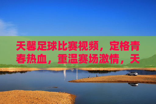 天馨足球比赛视频，定格青春热血，重温赛场激情，天馨足球比赛视频，定格青春热血，重温赛场激情