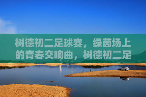 树德初二足球赛,绿茵场上的青春交响曲,树德初二足球赛,绿茵场上的青春交响曲