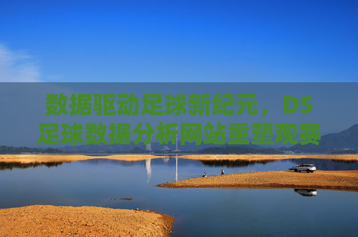 数据驱动足球新纪元，DS足球数据分析网站重塑观赛与决策体验，数据驱动足球新纪元，DS足球数据分析网站重塑观赛与决策体验