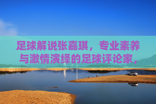 足球解说张嘉琪，专业素养与激情演绎的足球评论家，足球解说张嘉琪，专业素养与激情演绎的足球评论家