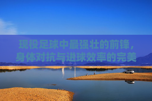 现役足球中最强壮的前锋，身体对抗与进球效率的完美结合者，现役足球最强壮前锋，身体对抗与进球效率的完美结合者