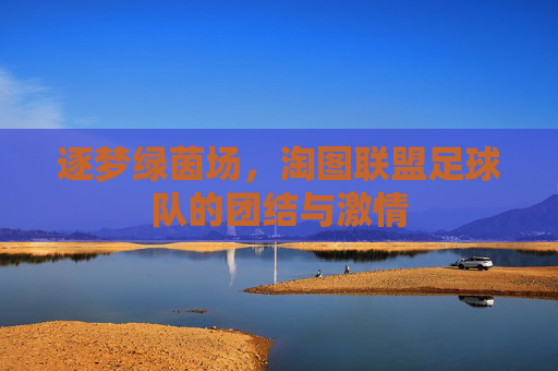 逐梦绿茵场，淘图联盟足球队的团结与激情