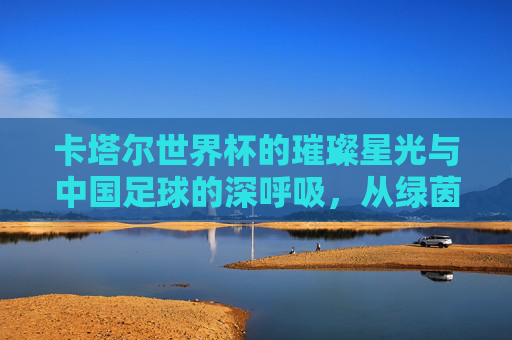 卡塔尔世界杯的璀璨星光与中国足球的深呼吸，从绿茵场到梦想的跨越