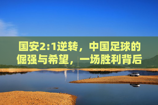 国安2:1逆转,中国足球的倔强与希望,一场胜利背后的深度思考